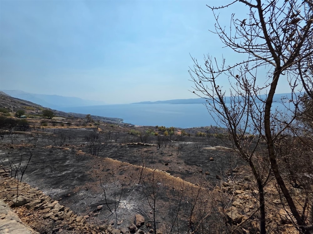 Snaga zajedništva: Županija donira 200.000 eura za sanaciju posljedica požara u Omišu